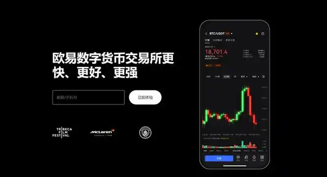 o易官方下载页面展示